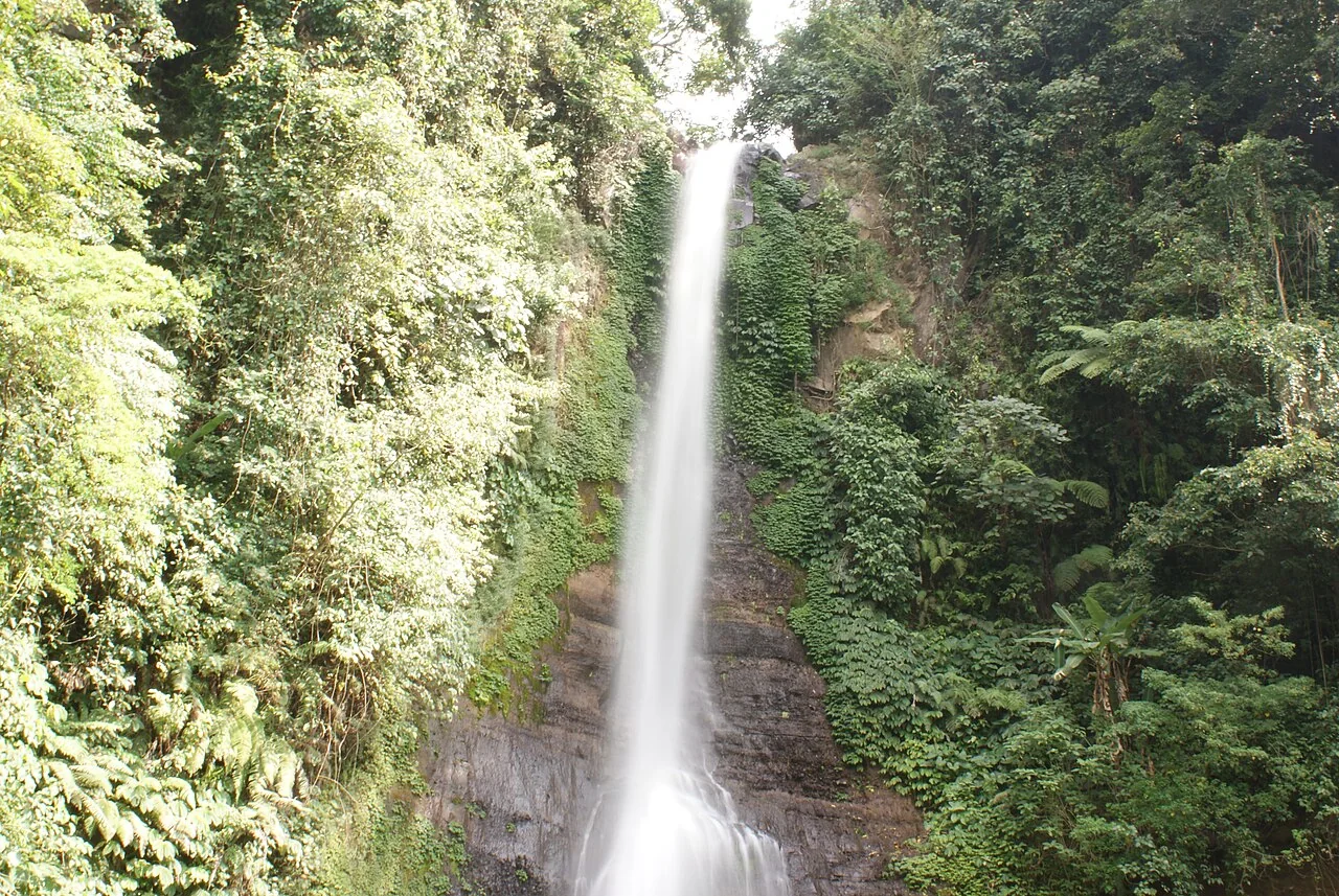 Gitgit waterfall in North Bali.