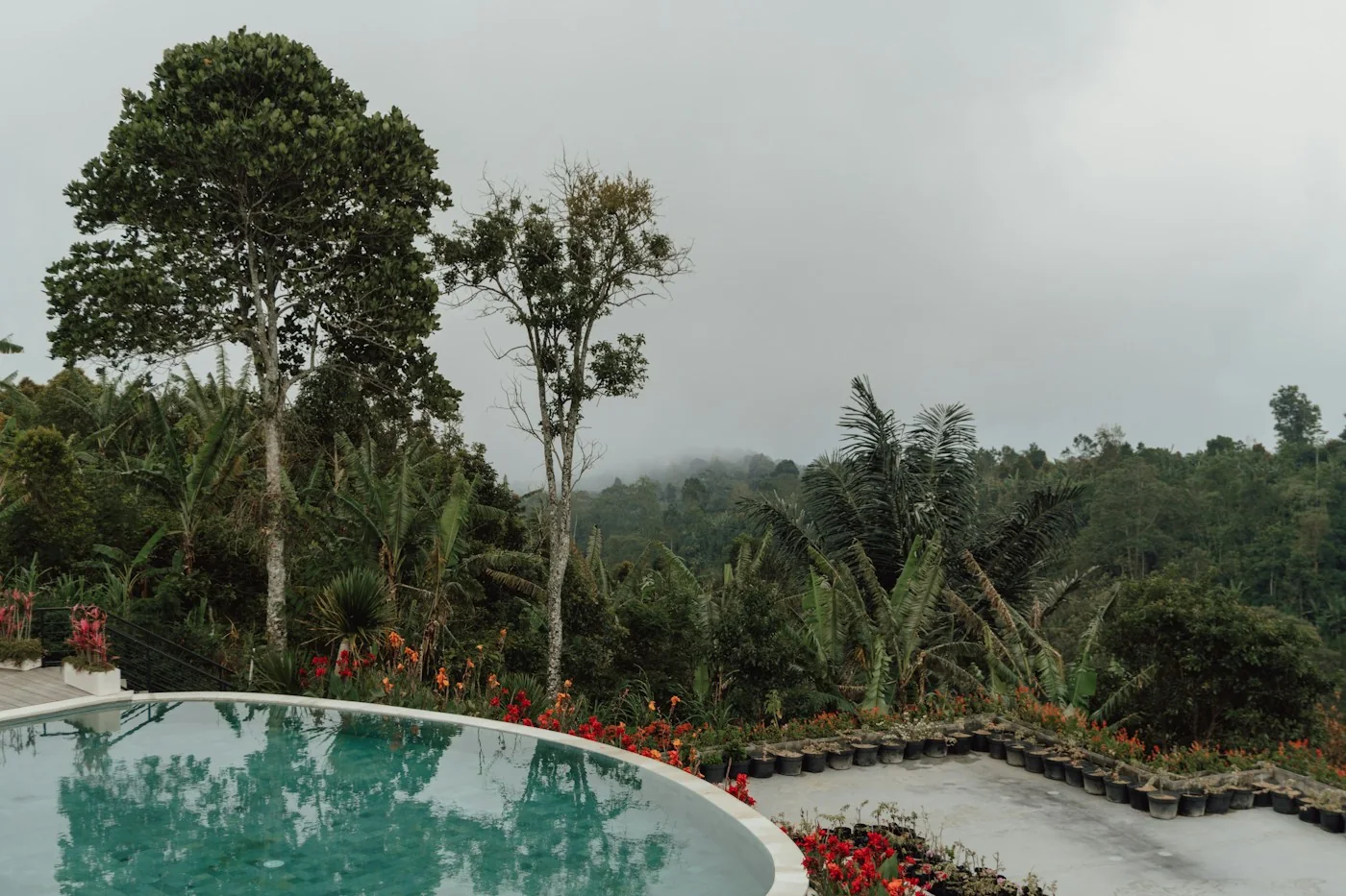 Tropical pool and lush garden offering a peaceful setting in Bali